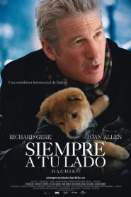 Siempre a tu lado (Hachiko)
