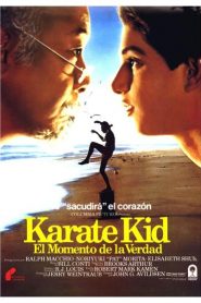 Karate Kid 1: El momento de la verdad