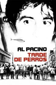 Tarde de perros (Dog Day Afternoon)