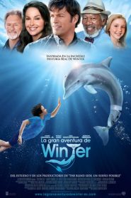 La gran aventura de Winter el delfín