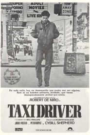 Taxi Driver