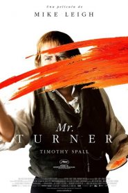 Mr. Turner