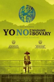 Yo no soy Madame Bovary
