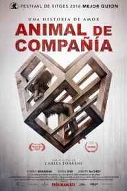 Animal de compañía