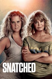 Descontroladas (Snatched)