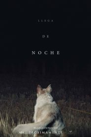 Llega de noche (It Comes at Night)