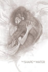 The shape of water (La forma del agua)