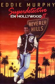Un detective suelto en Hollywood II