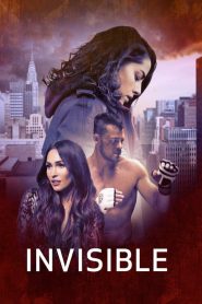 Invisible (Above the Shadows)