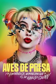 Aves de Presa (Birds of Prey)