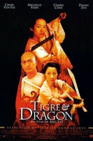 Tigre y dragón