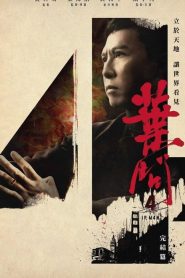 Ip Man 4: El final