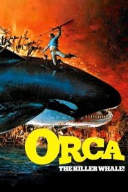 Orca, la ballena asesina