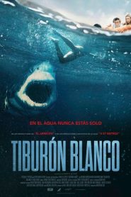 Tiburón blanco (Great White)