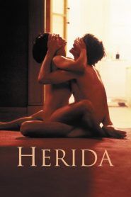 Herida (Damage)