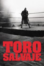 Toro salvaje