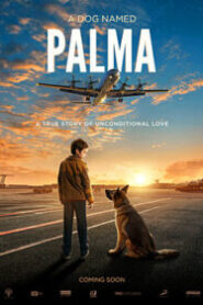 Palma