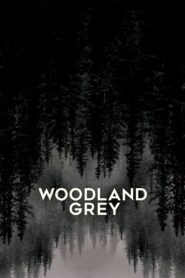 Woodland Grey