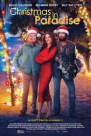 Christmas in Paradise