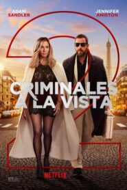 Criminales a la vista (Misterio a la vista)