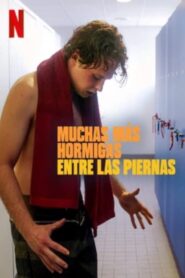 Muchas mas hormigas entre las piernas