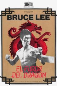 El furor del dragón