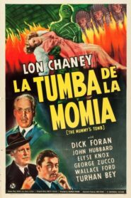 La tumba de la momia