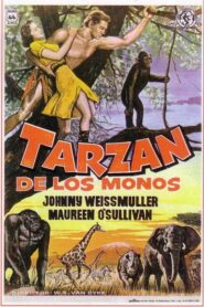 Tarzán de los monos