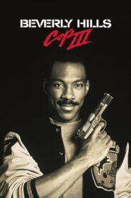 Un detective suelto en Hollywood III