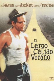 Noche larga y febril (El largo y cálido verano)