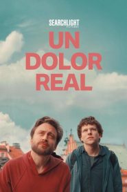 Un dolor real (A Real Pain)