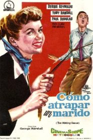 Como pescar un marido
