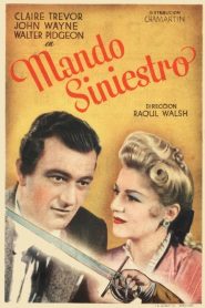 El mandamiento oscuro (Mando siniestro)