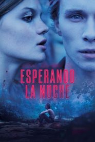 En attendant la nuit (Esperando la noche)
