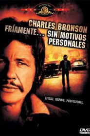 Asesino a precio fijo