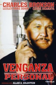 El vengador anónimo 5