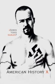 Historia americana X (American History X)