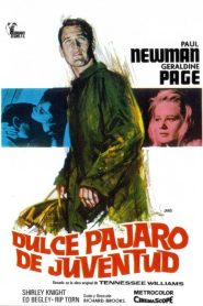El dulce pájaro de la juventud