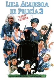Locademia de policía 3